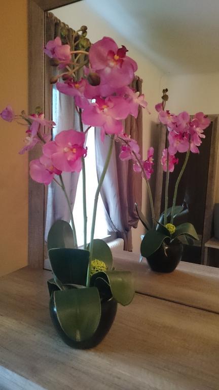 ホテルGasthof Krisplwirt 部屋 写真